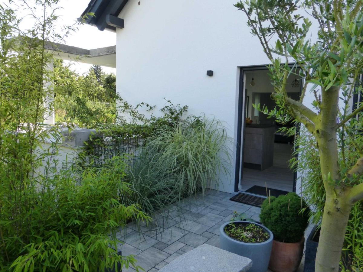 Forststrasse Apartment Stockstadt am Main Esterno foto